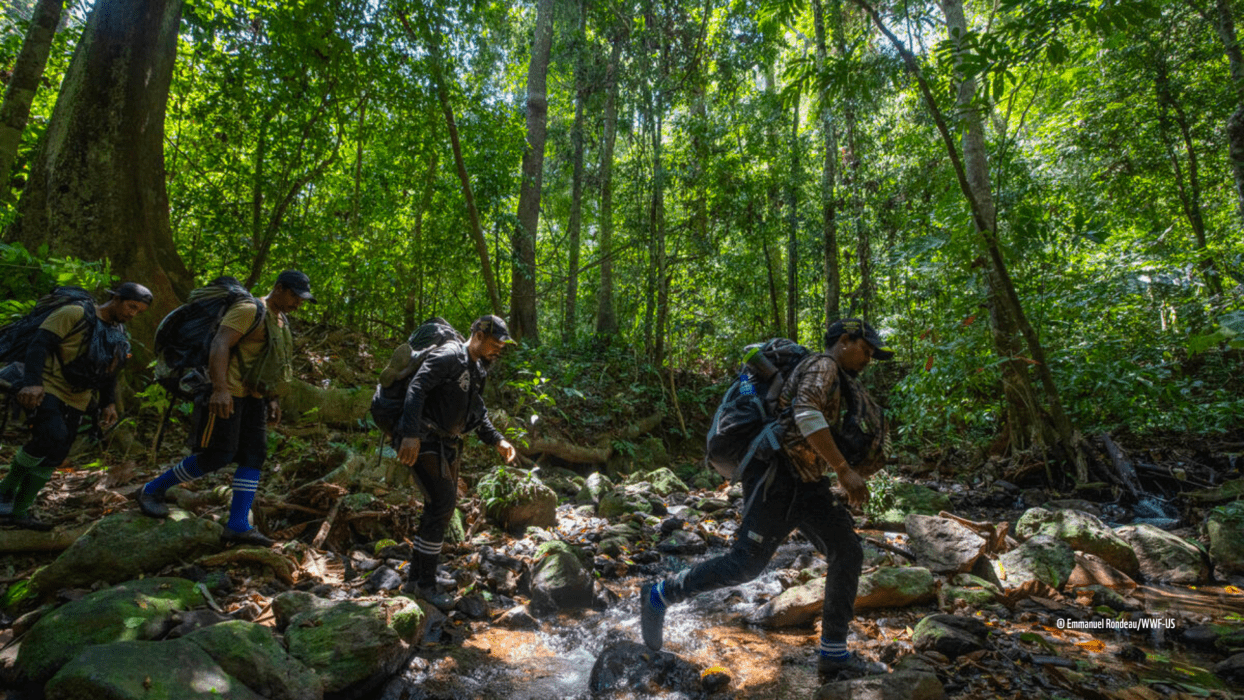 Trekking dan Menjelajah Hutan