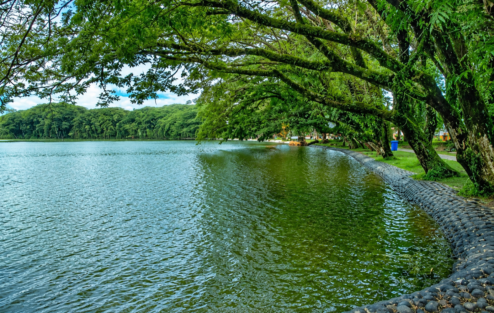 Foto Danau Raja